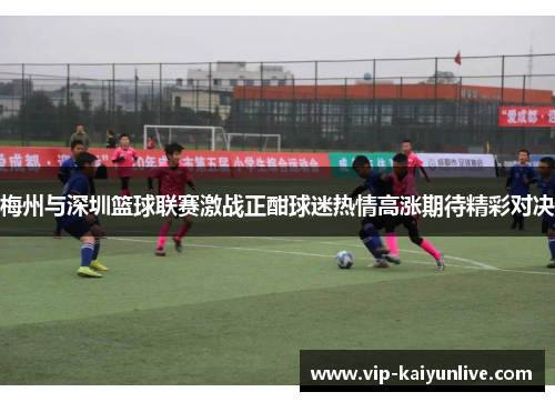 梅州与深圳篮球联赛激战正酣球迷热情高涨期待精彩对决